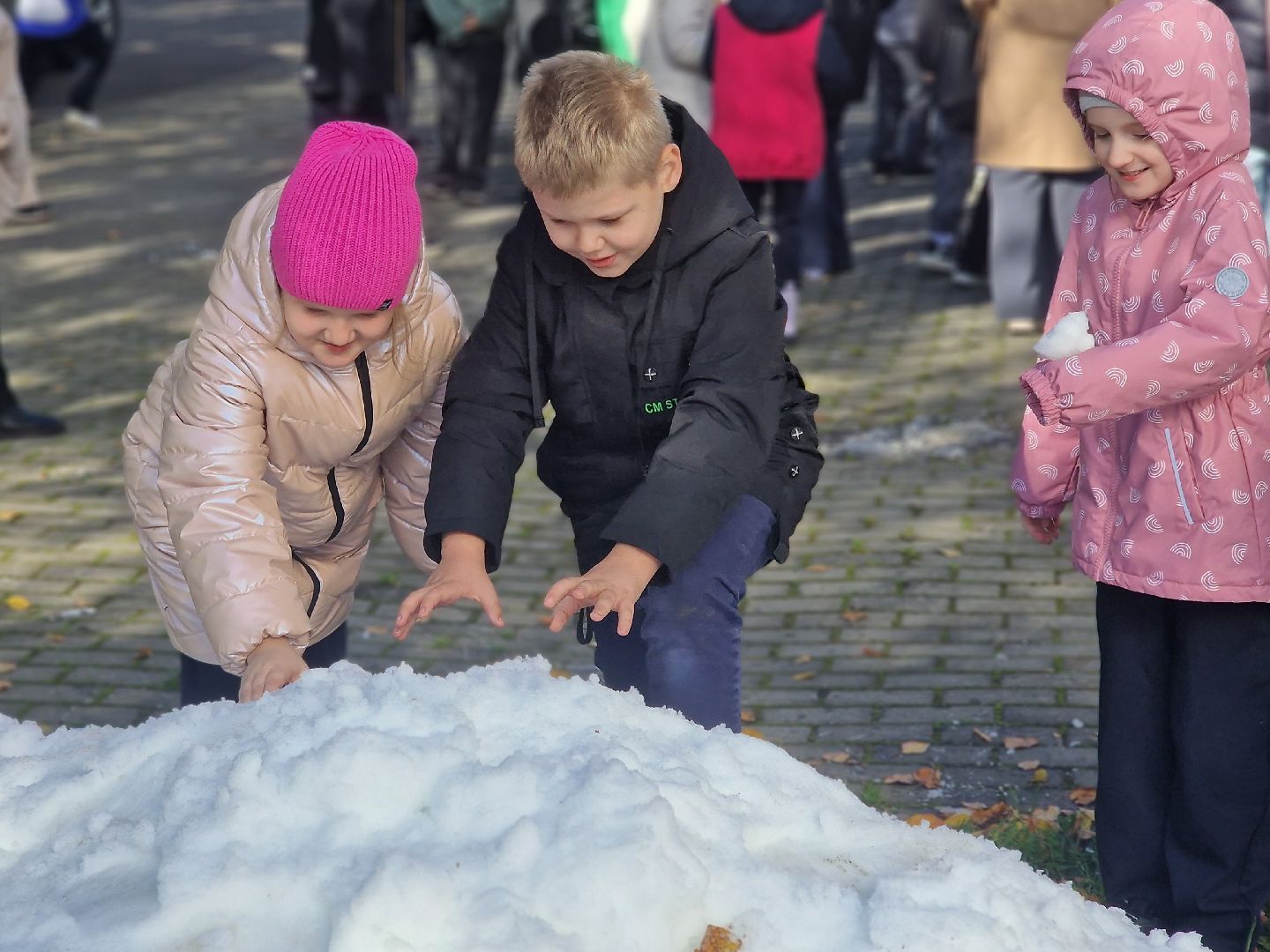 воскресенск, хоккей, олимпийский чемпион,