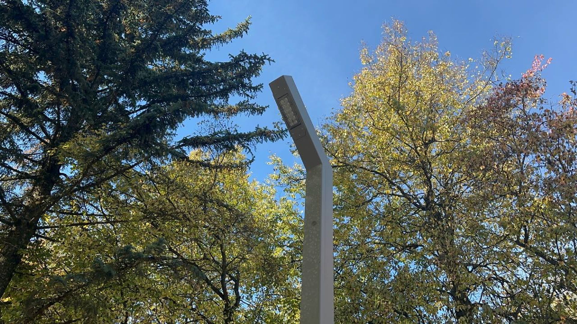 благоустойство, домодедово, сквер,