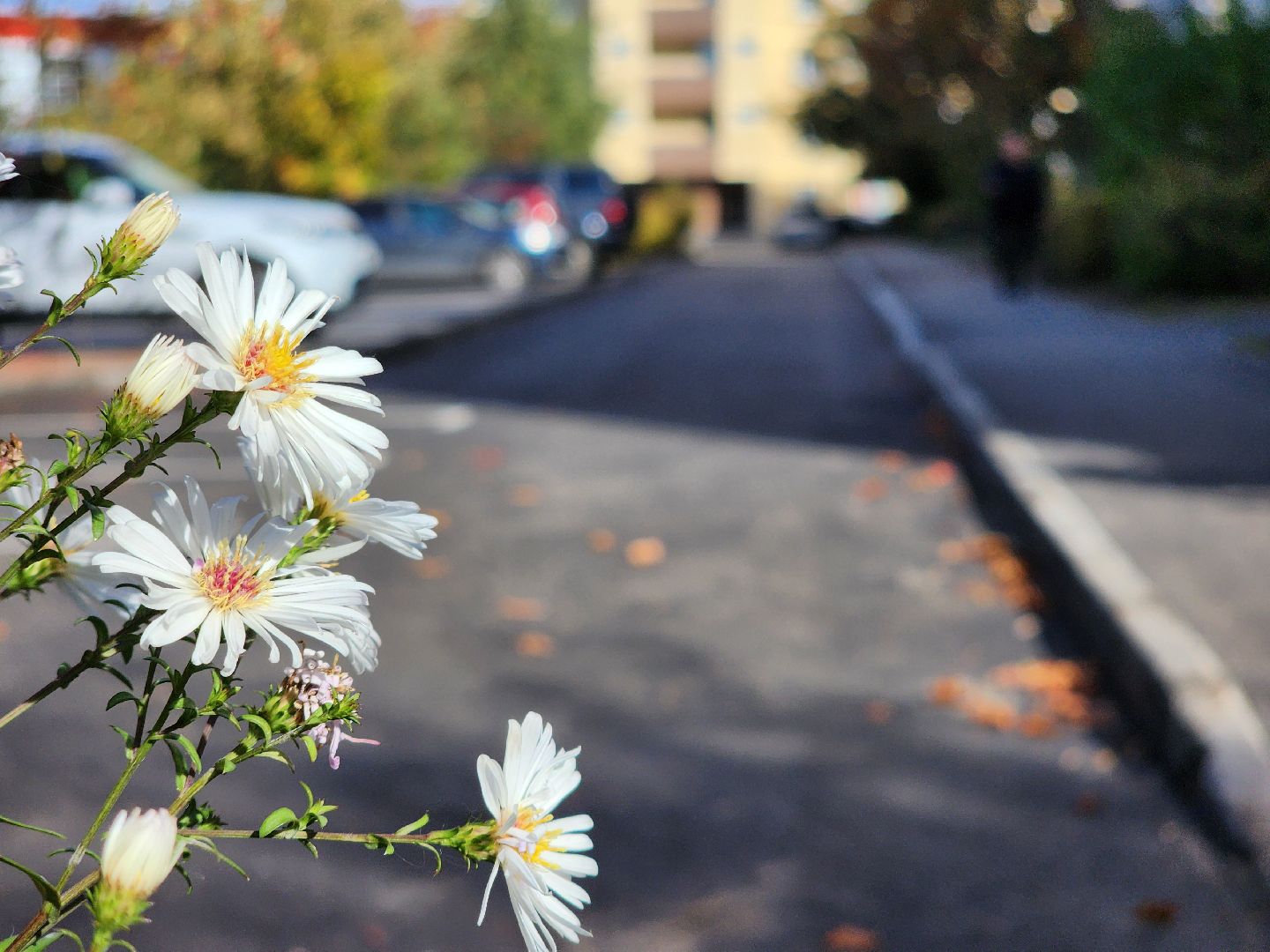 программа благоустройства, детская игровая площадка, благоустройство, старая купавна, богородский городской округ,