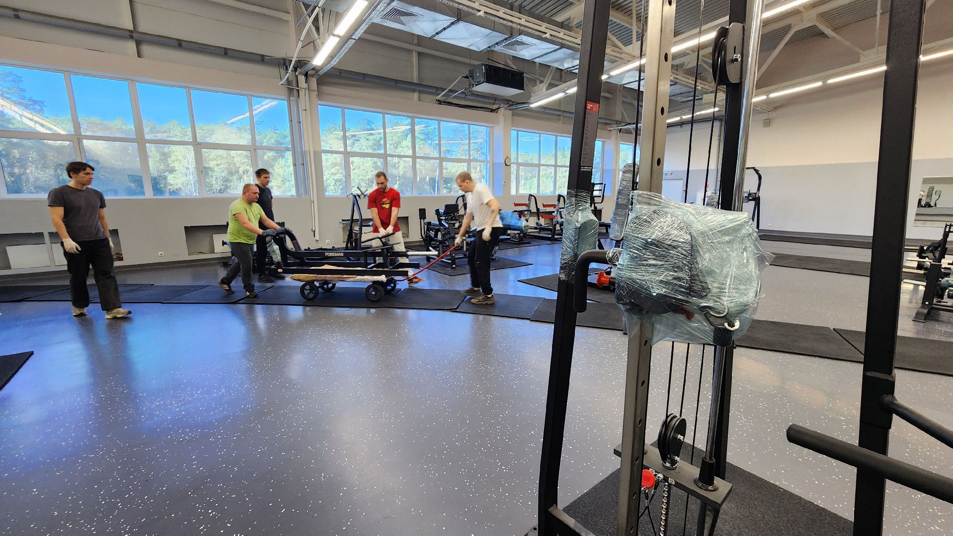 спорт, спортивная школа протвино, ремонт тренажерного зала,