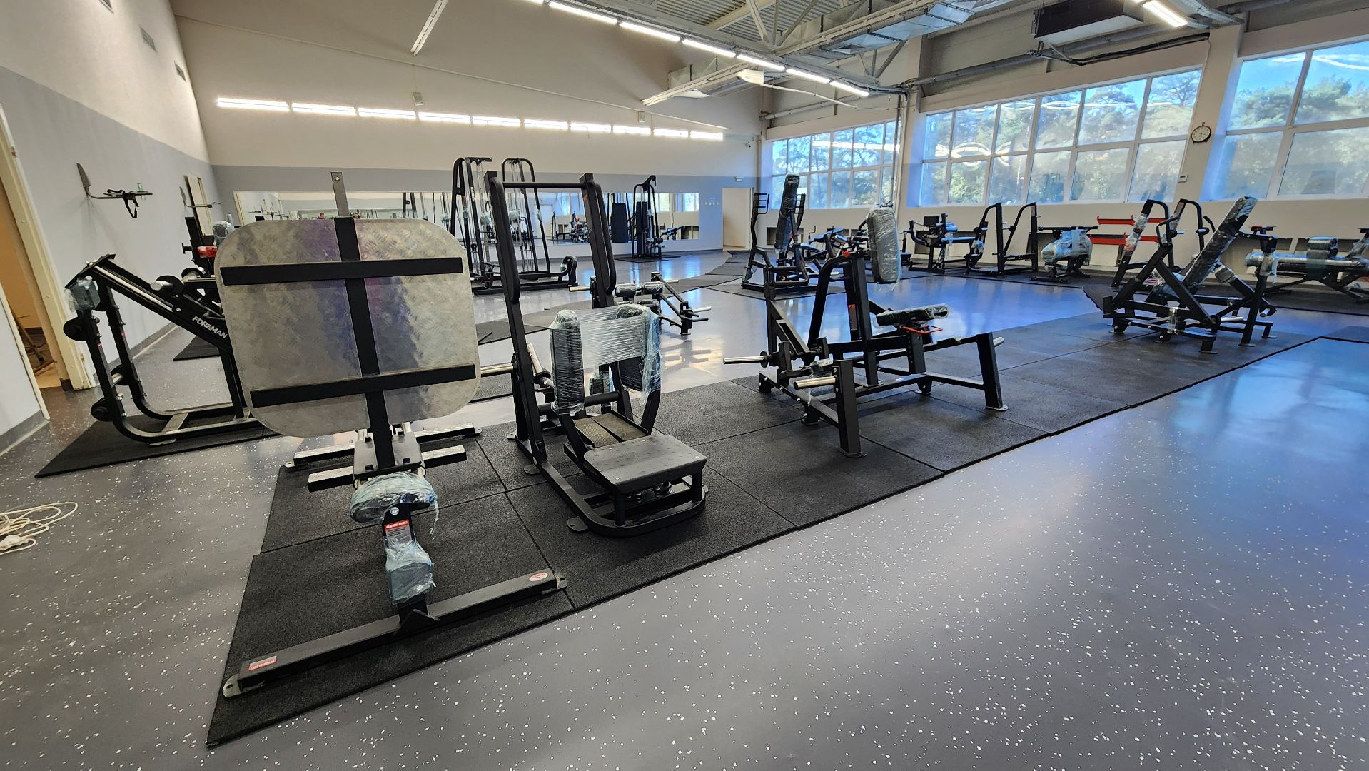 спорт, спортивная школа протвино, ремонт тренажерного зала,