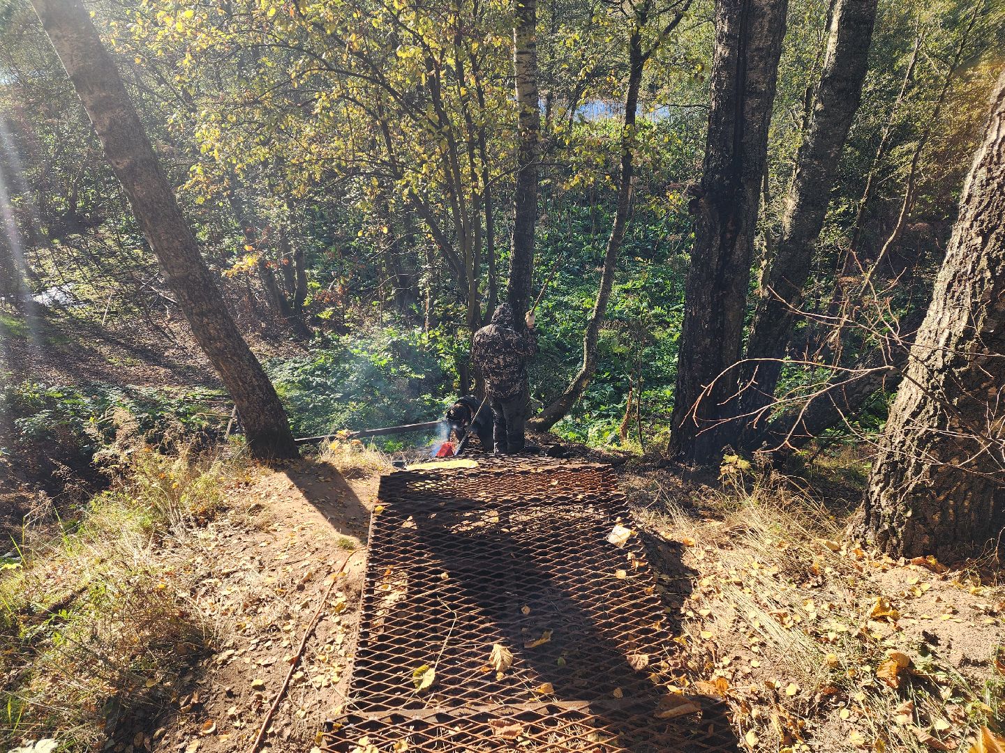 городской округ пушкинский, красноармейск, родник, обращения жителей,