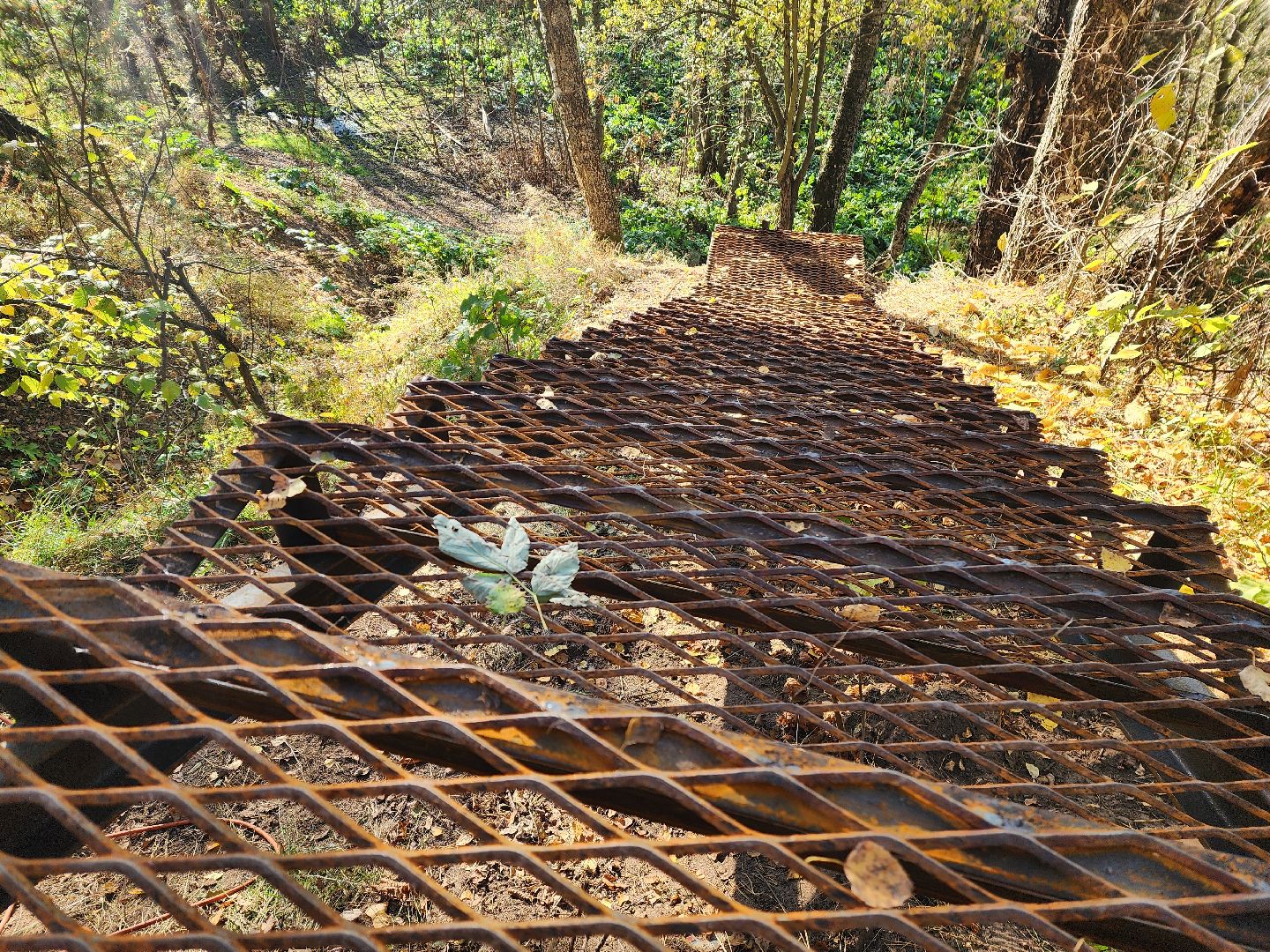 городской округ пушкинский, красноармейск, родник, обращения жителей,