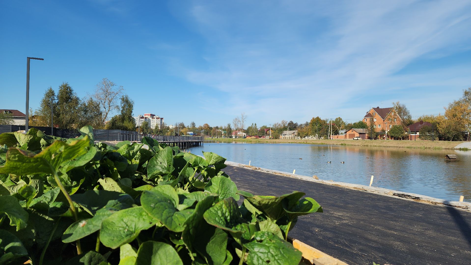 благоустройство, нахабино, торфянка, парк,