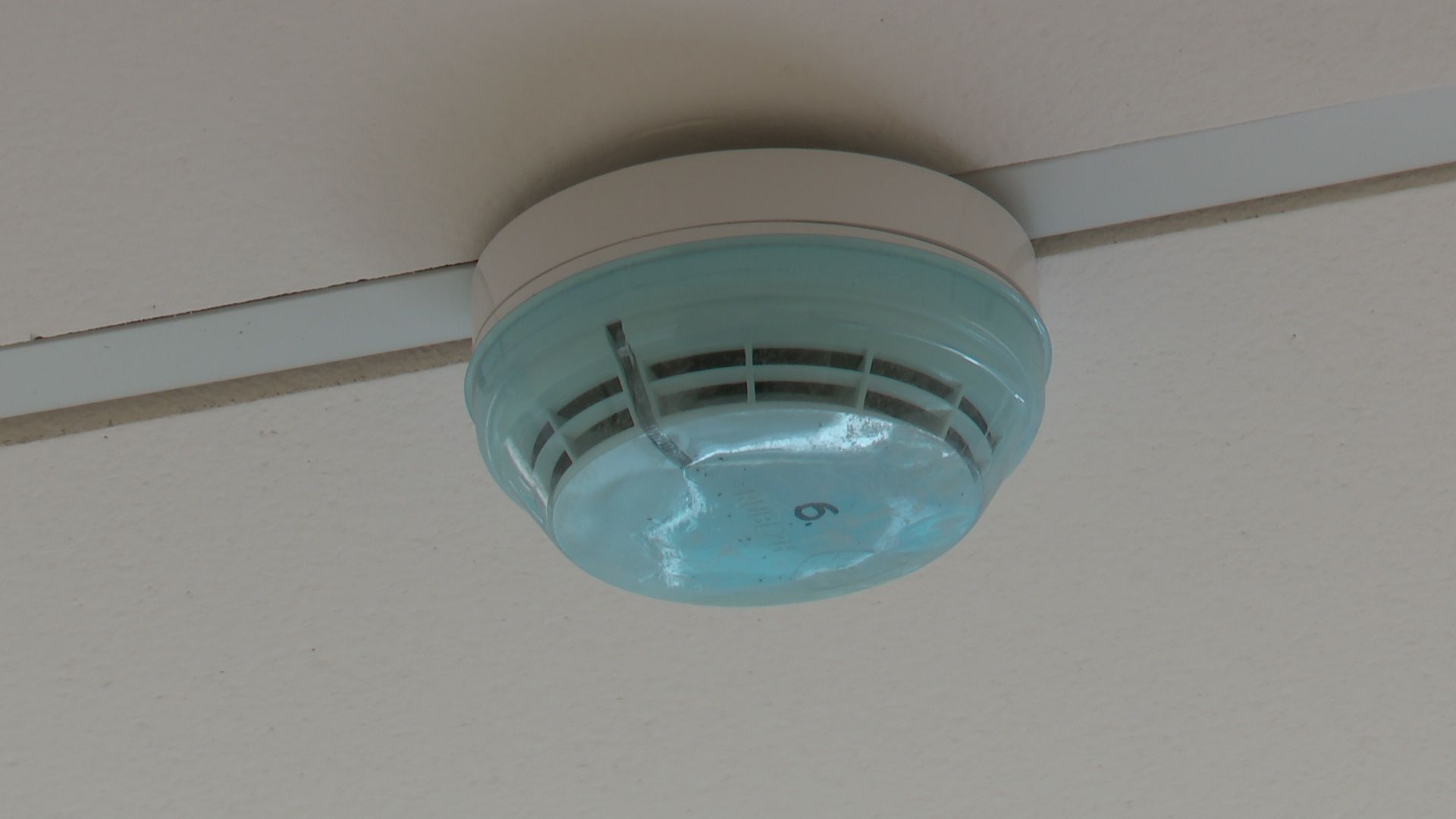 Реутов, родничок, капремонт, благоустройство,