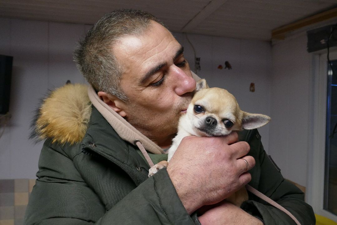 Благотворительность, Подольск, животные, помощь, добро