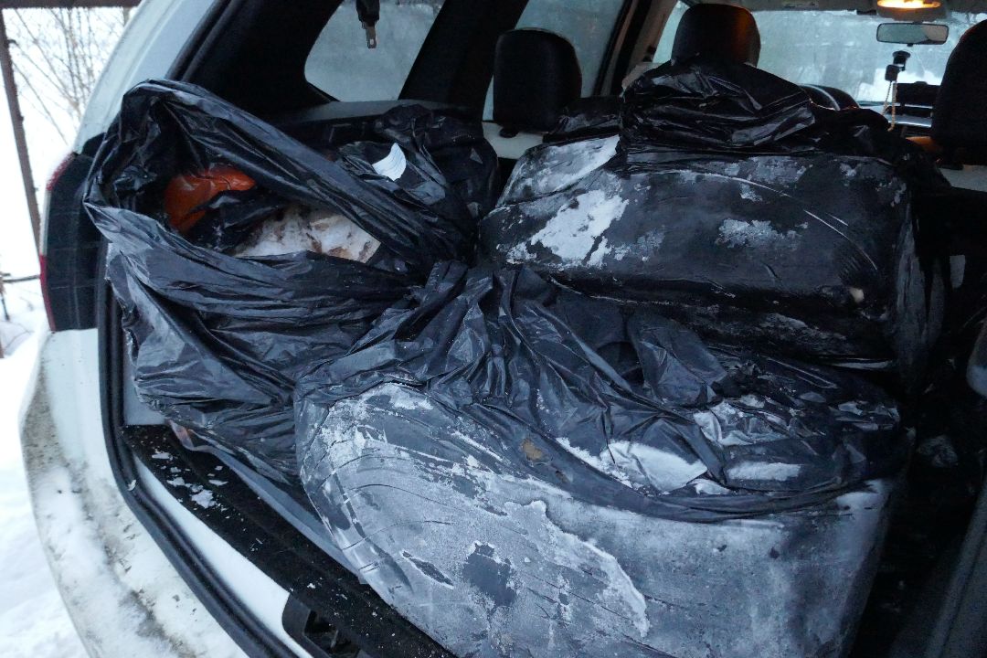 Благотворительность, Подольск, животные, помощь, добро