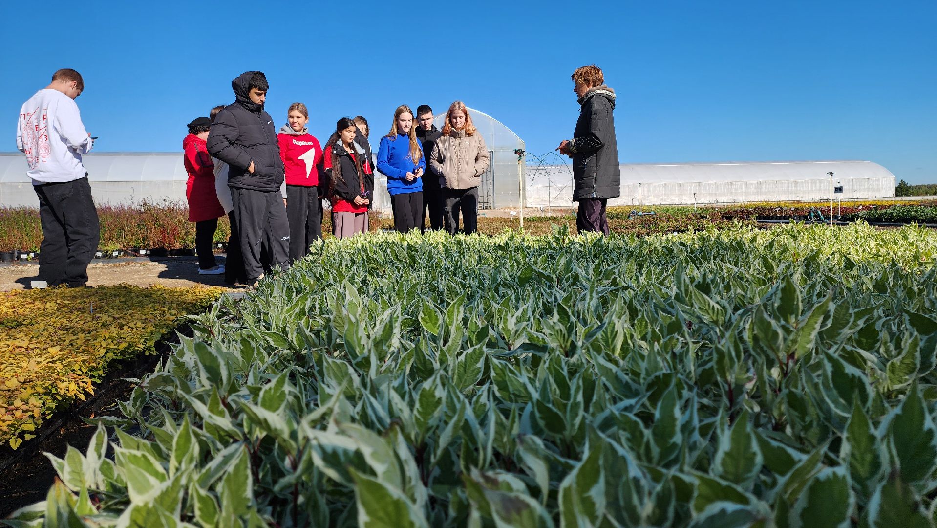 кашира, образование, движение первых, питомник растений, экология, экскурсия, дети, школа,