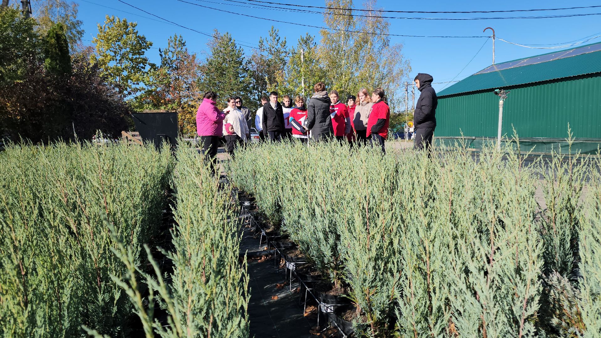кашира, образование, движение первых, питомник растений, экология, экскурсия, дети, школа,