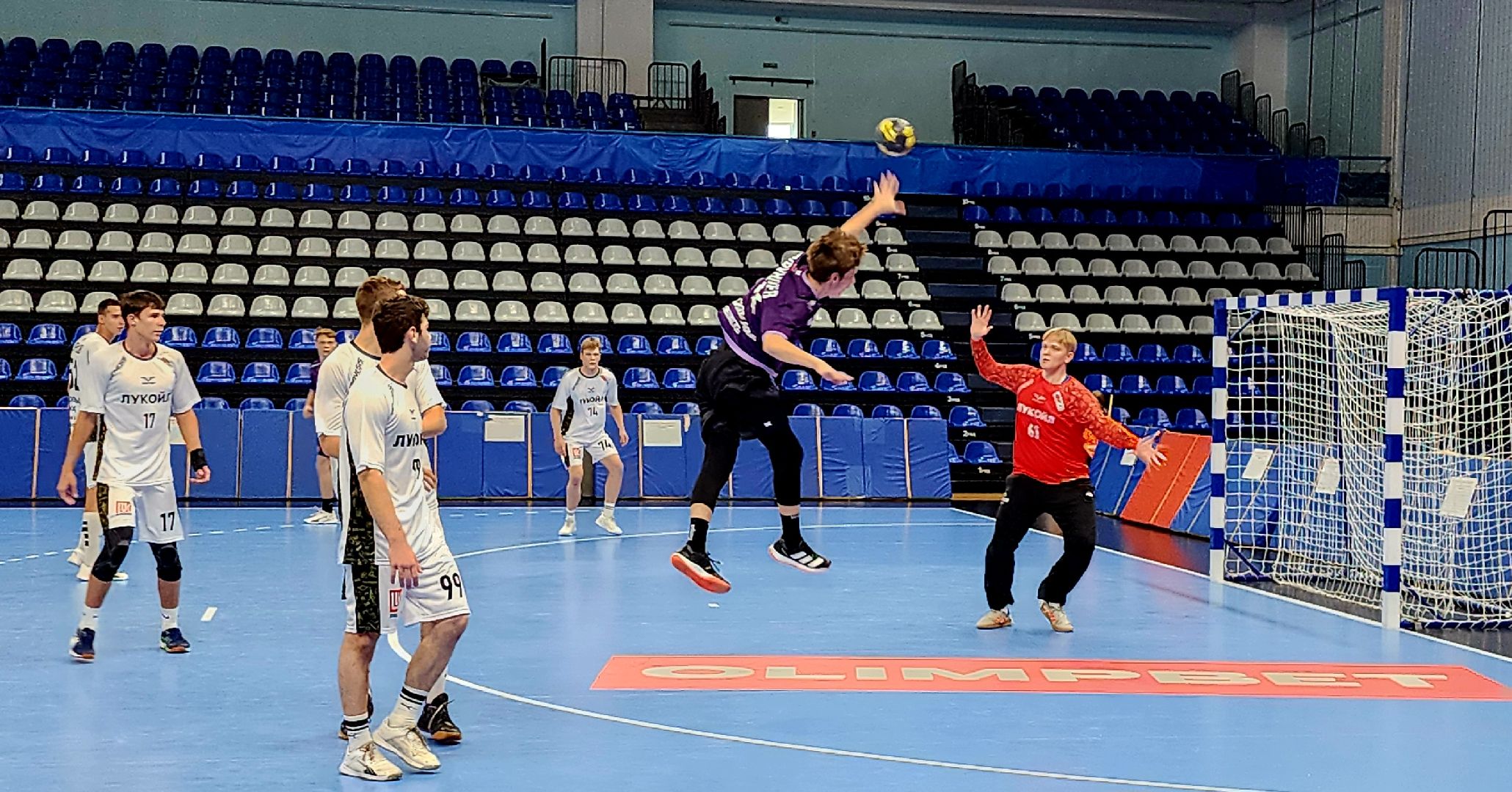 подмосковье, чехов, первенство россии по гандболу,