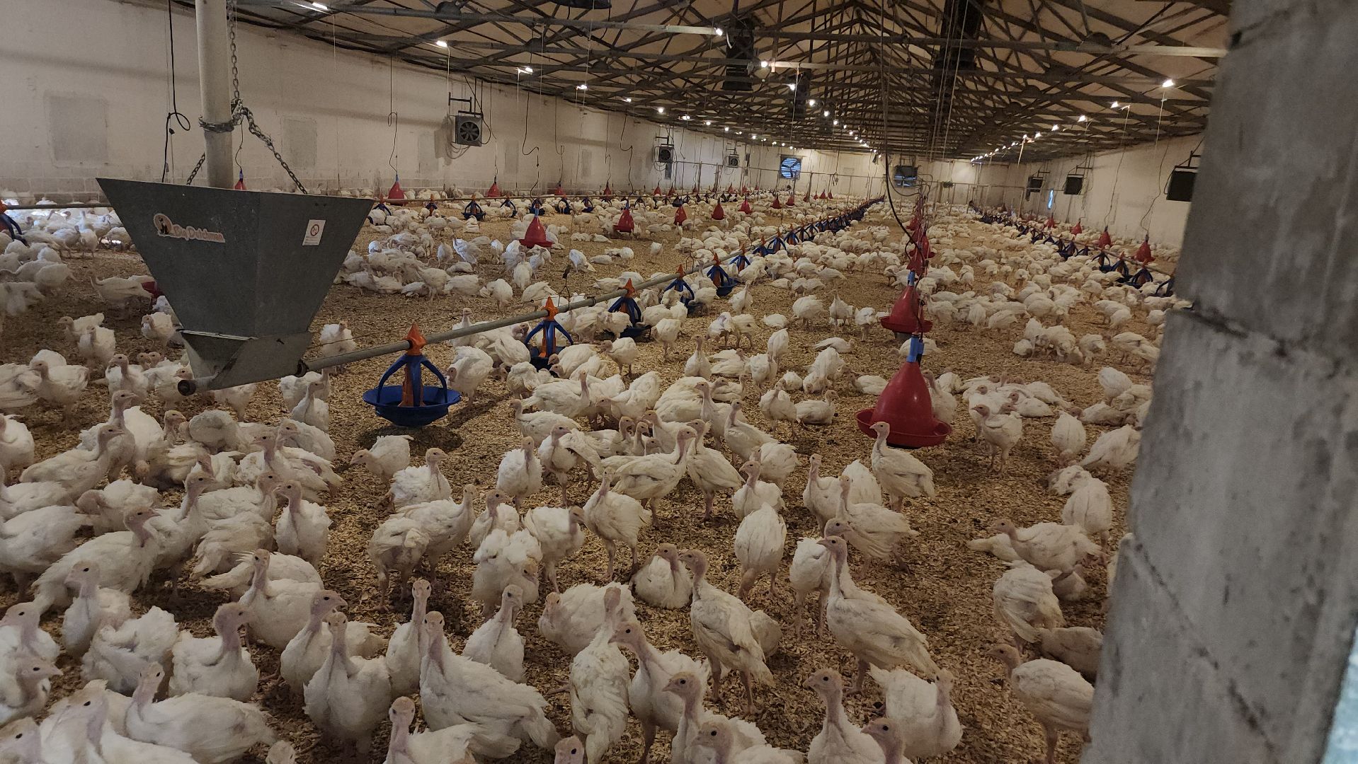 Егорьевск , Подмосковье , Московская область ,