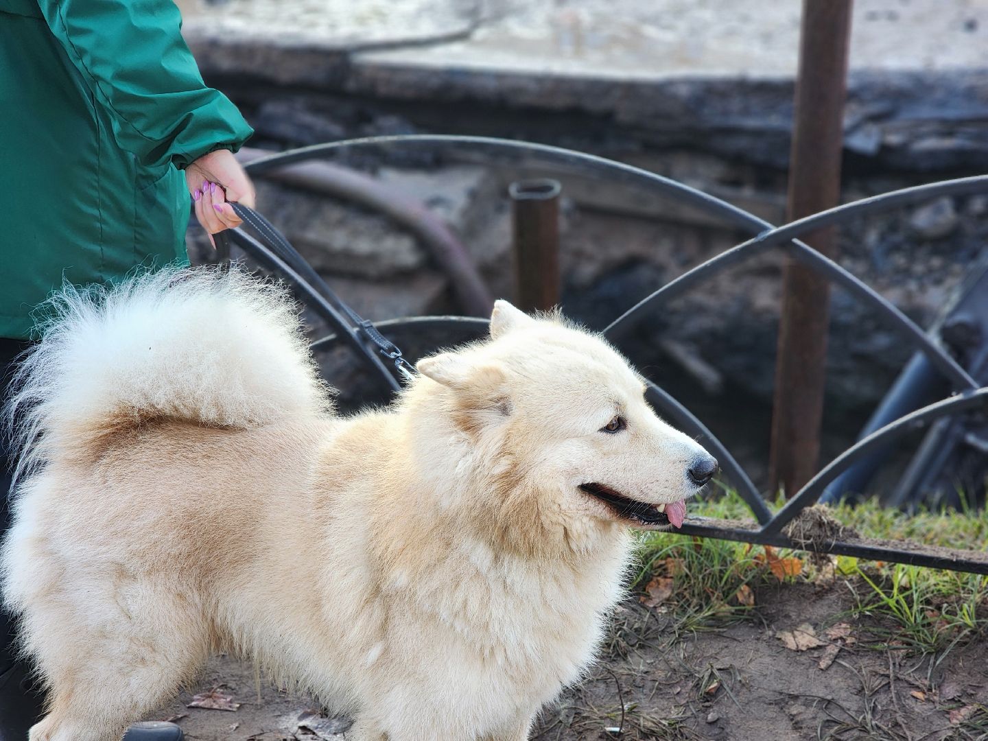 дубна, авария, трубопровод, водоснабжение,