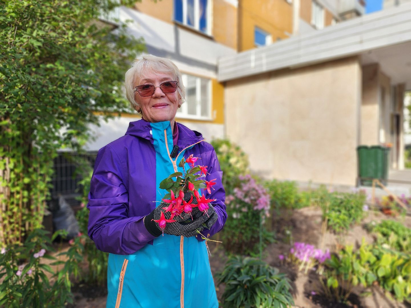 фрязино, цветы, двор-оранжерея, подготовка к зиме, цветоводство,