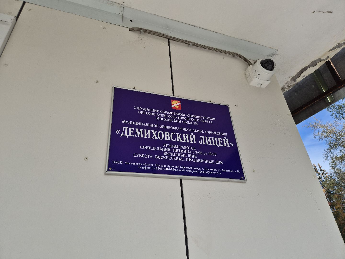 демихово лицей, учитель изо,