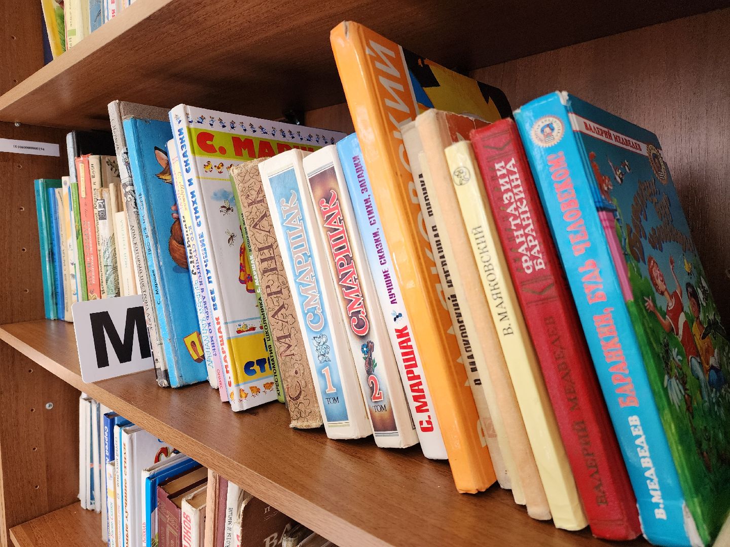 электросталь , общество, дети, библиотека, всемирный день животных, жители, игра,