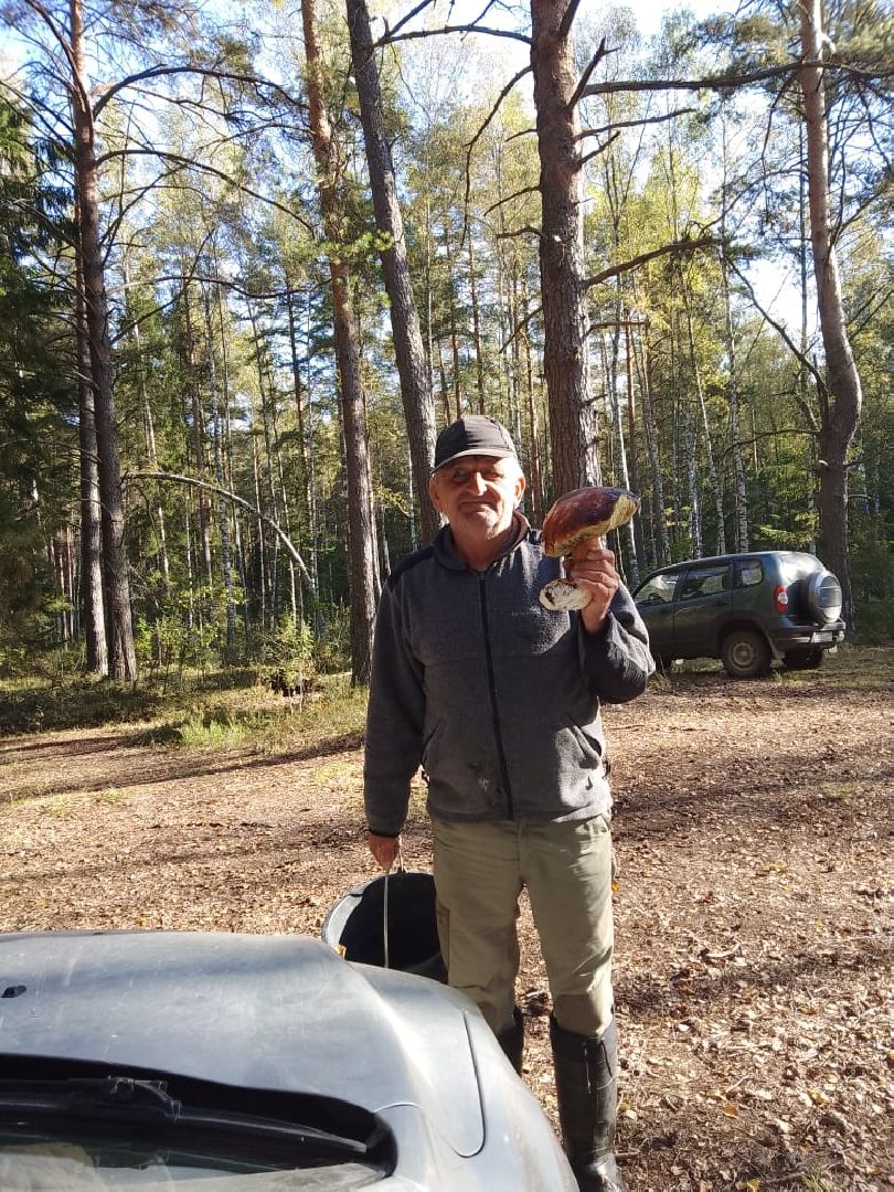 сергиев посад, сергиево-посадский городской округ, грибы в лесу, отравление грибами, ботулизм, консервирование, заготовка грибов, симптомы отравления, тихая охота,