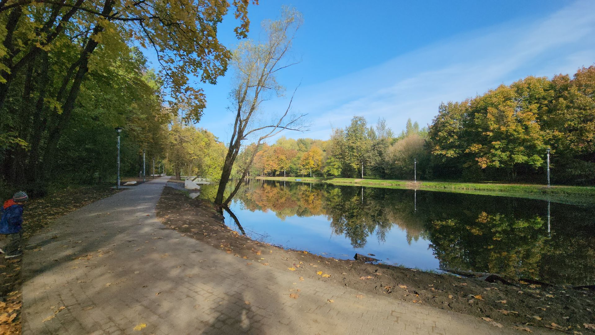городской парк, благоустройство, освещение, пешеходные дорожки,