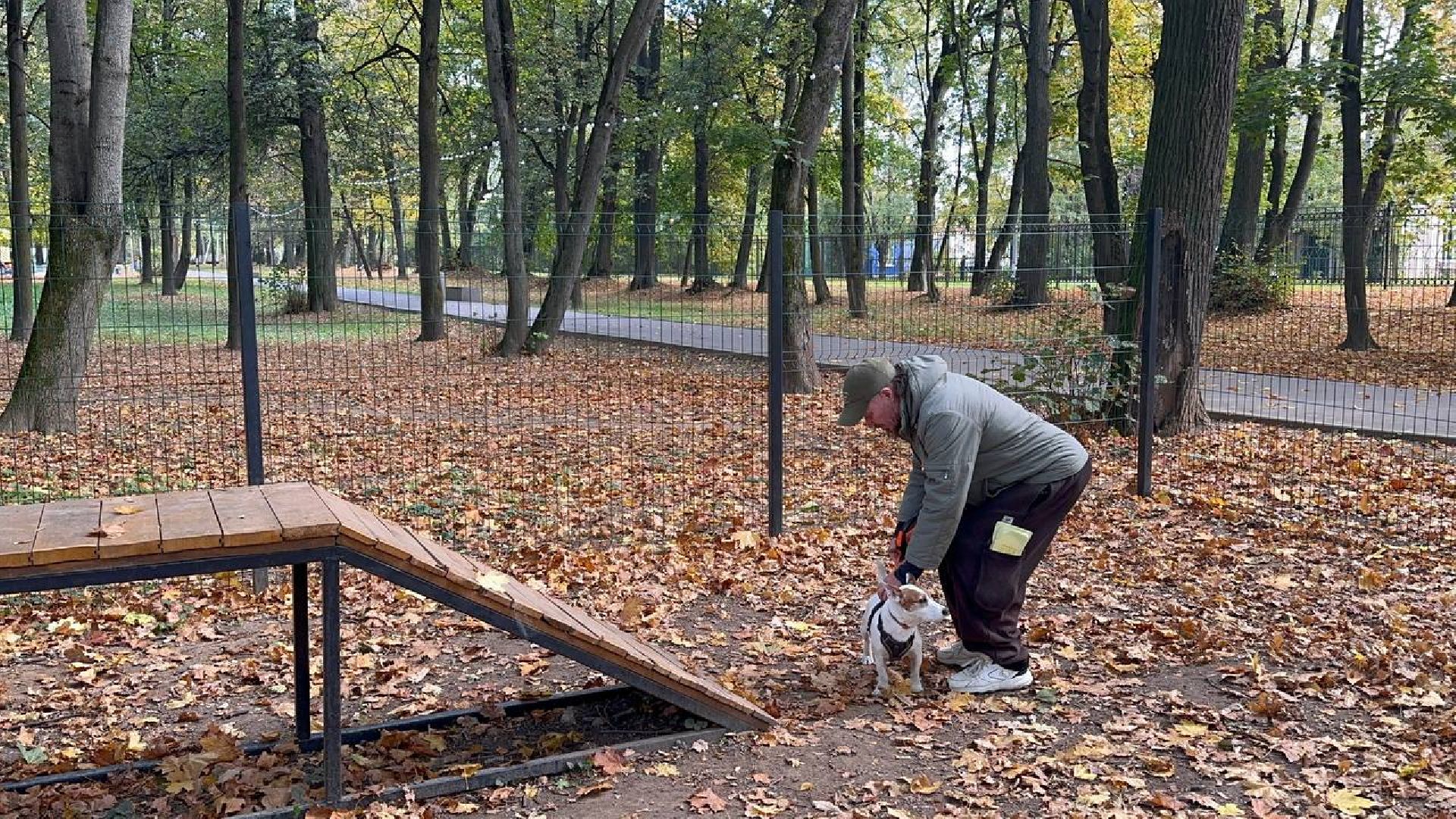 парки, домодедово, домашние животные,