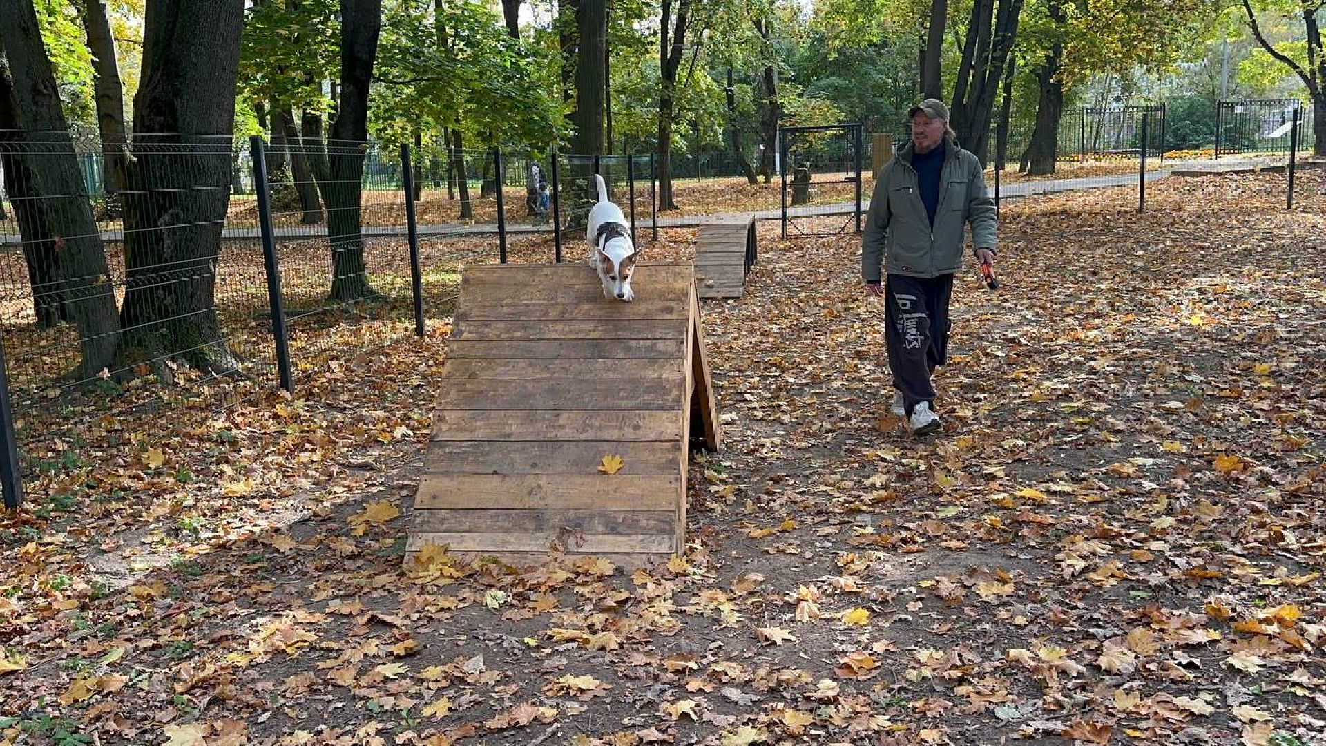 парки, домодедово, домашние животные,