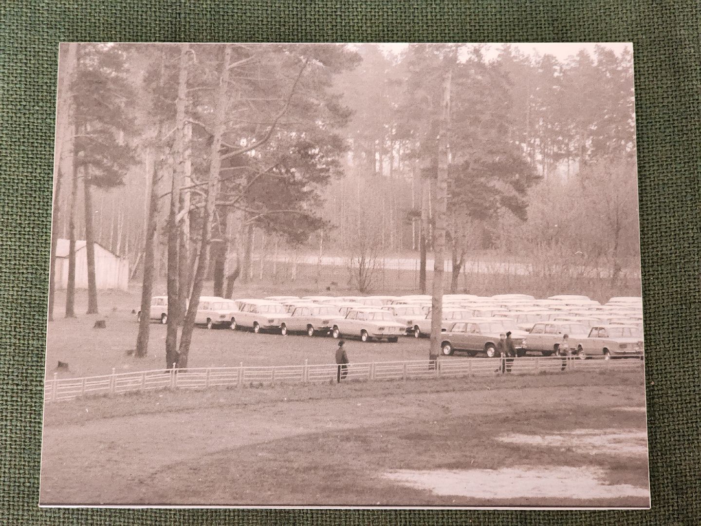 выставка, выставка фотографий,   музей, ногинск, богородский городской округ,