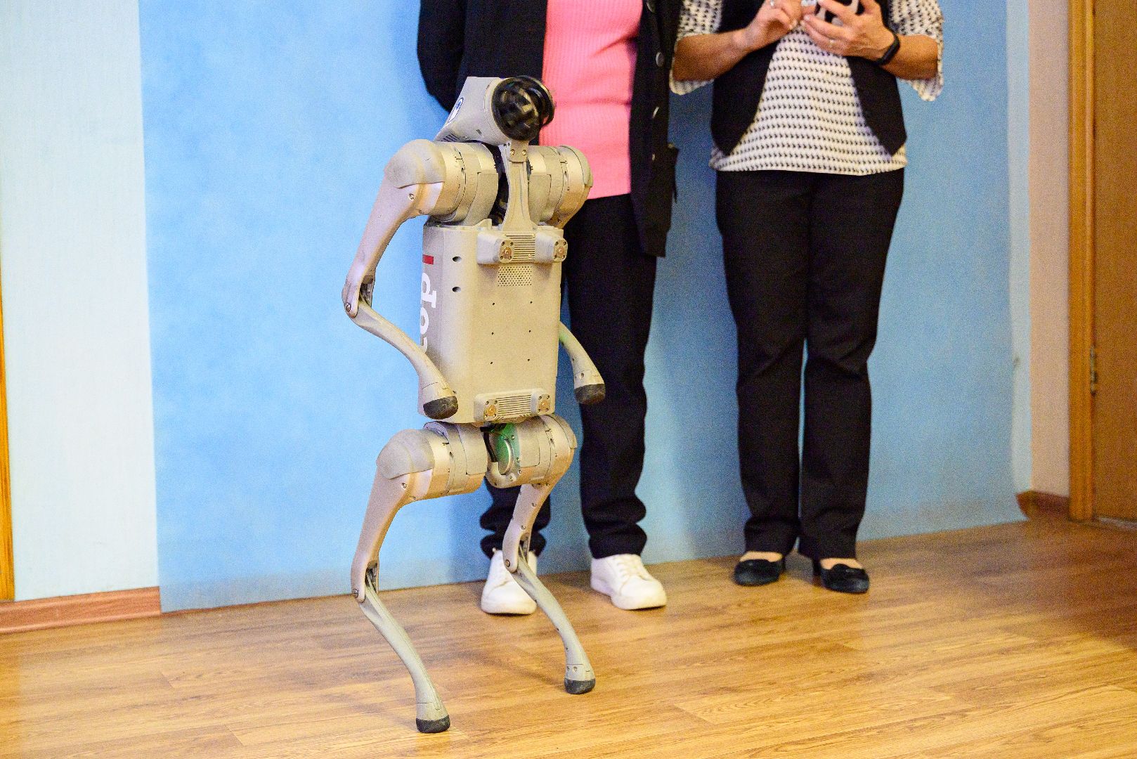 лыткарино, образование, современные технологии, it-технологии, робособака,