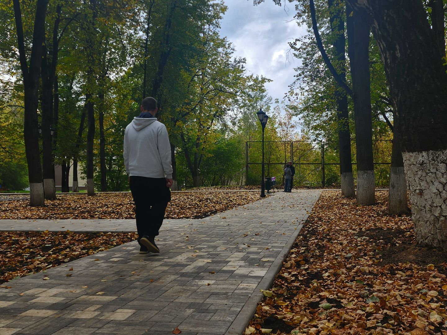 наро-фоминский городской округ, реконструкция парка, ту наро-фоминск, перемены наро-фоминск,