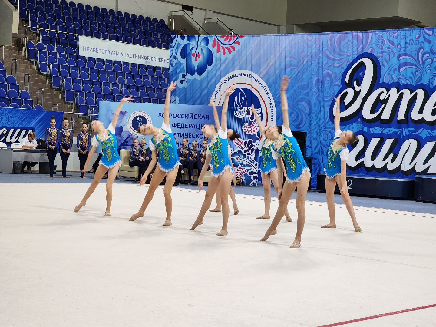 раменское, спорт, первенство россии по эстетической гимнастике , юные гимнастки,