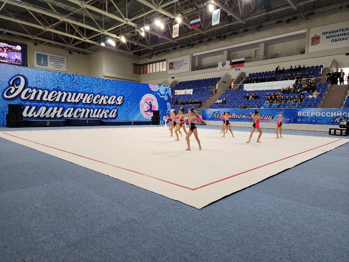 раменское, спорт, первенство россии по эстетической гимнастике , юные гимнастки,