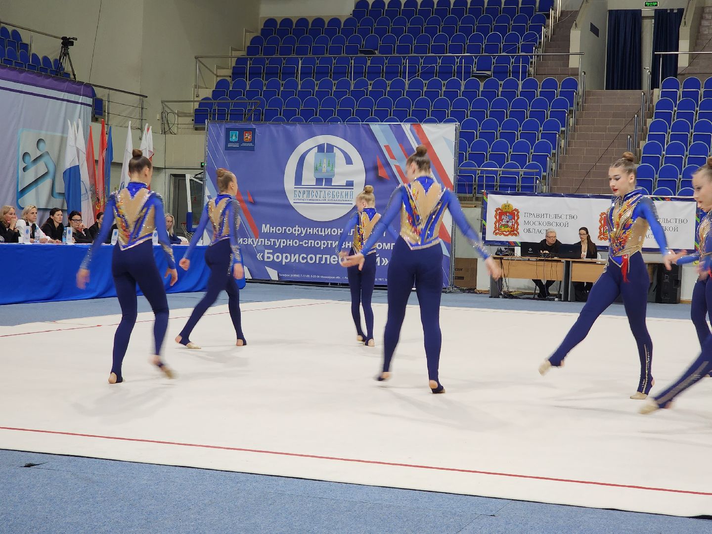 раменское, спорт, первенство россии по эстетической гимнастике , юные гимнастки,