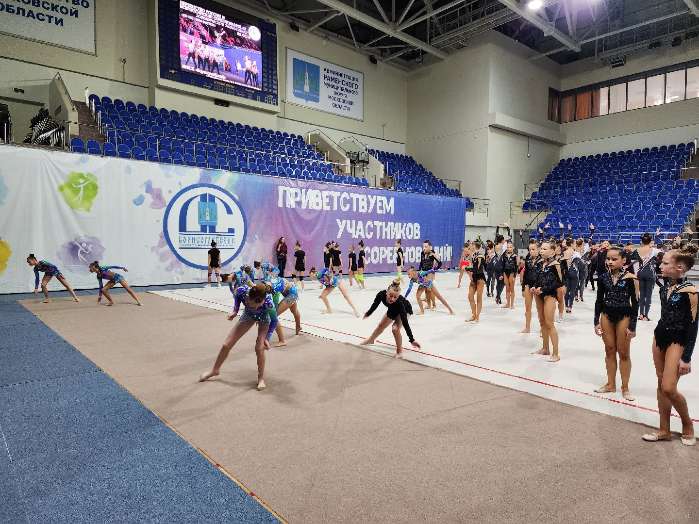 раменское, спорт, первенство россии по эстетической гимнастике , юные гимнастки,