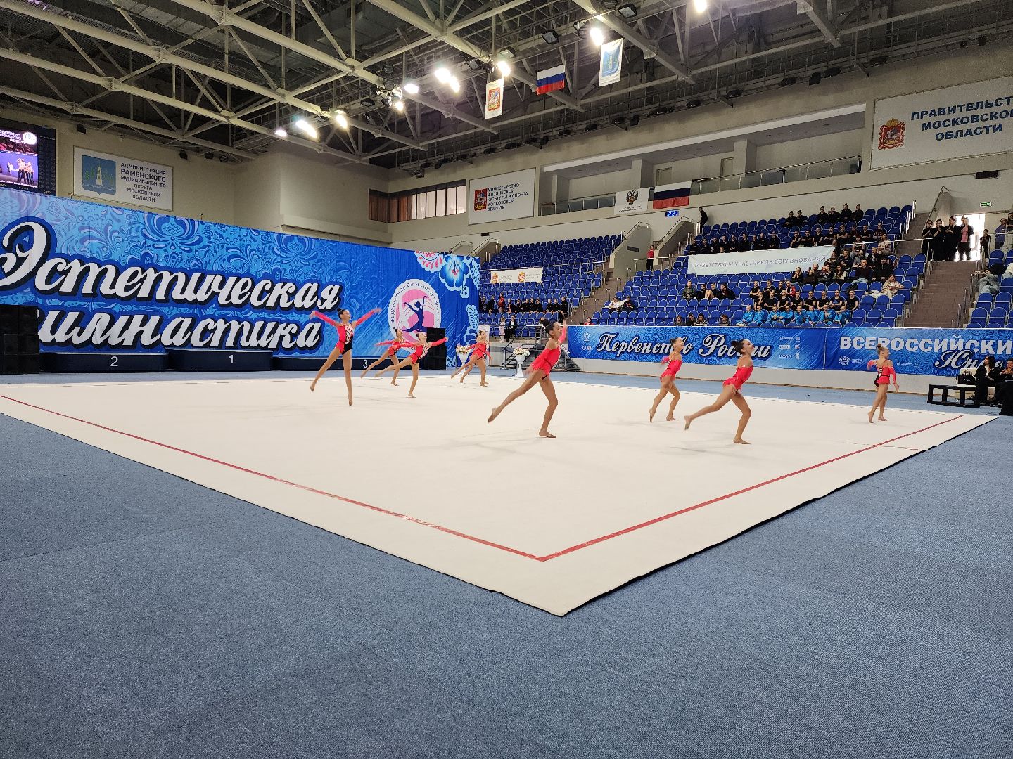 раменское, спорт, первенство россии по эстетической гимнастике , юные гимнастки,