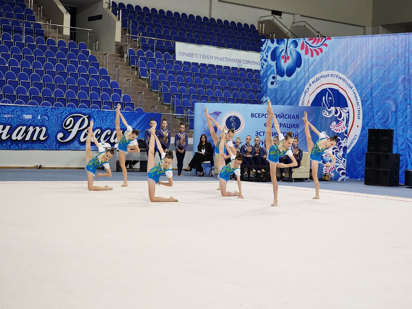 раменское, спорт, первенство россии по эстетической гимнастике , юные гимнастки,