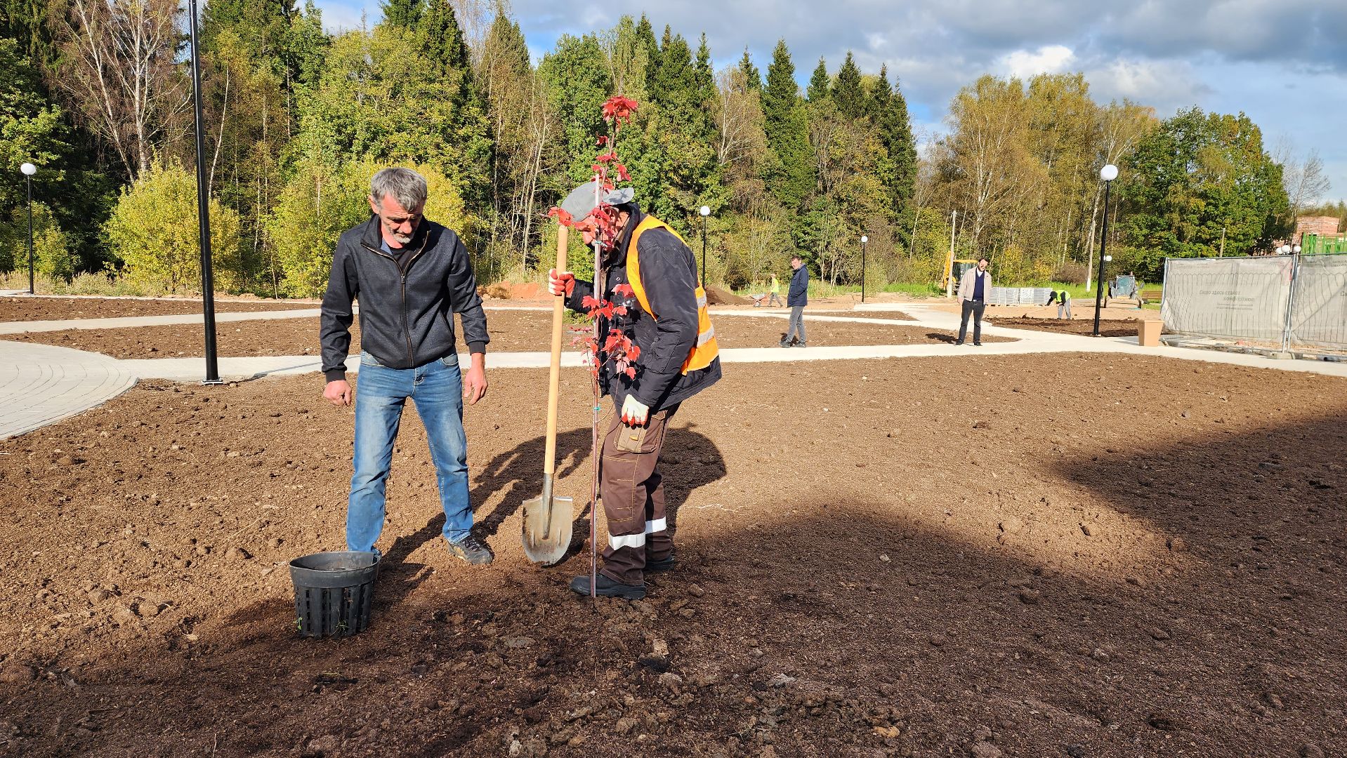 сквер, истра, благоустройство,