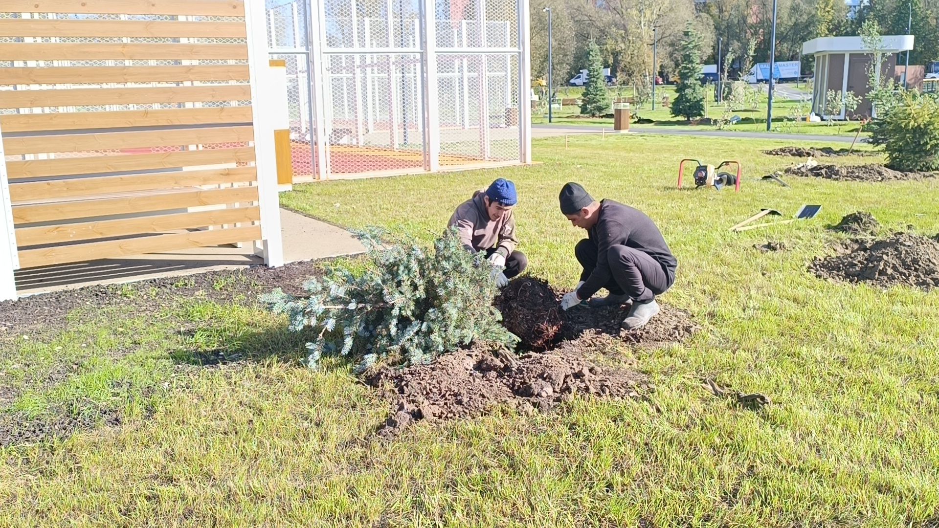 благоустройство, лобня, парк,