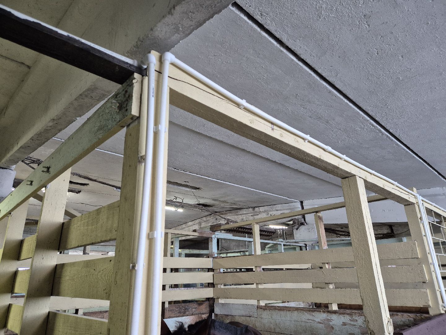 частная конюшня, конный спорт, благоустройство конюшни,