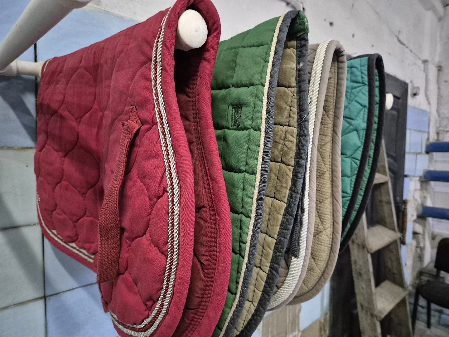 частная конюшня, конный спорт, благоустройство конюшни,