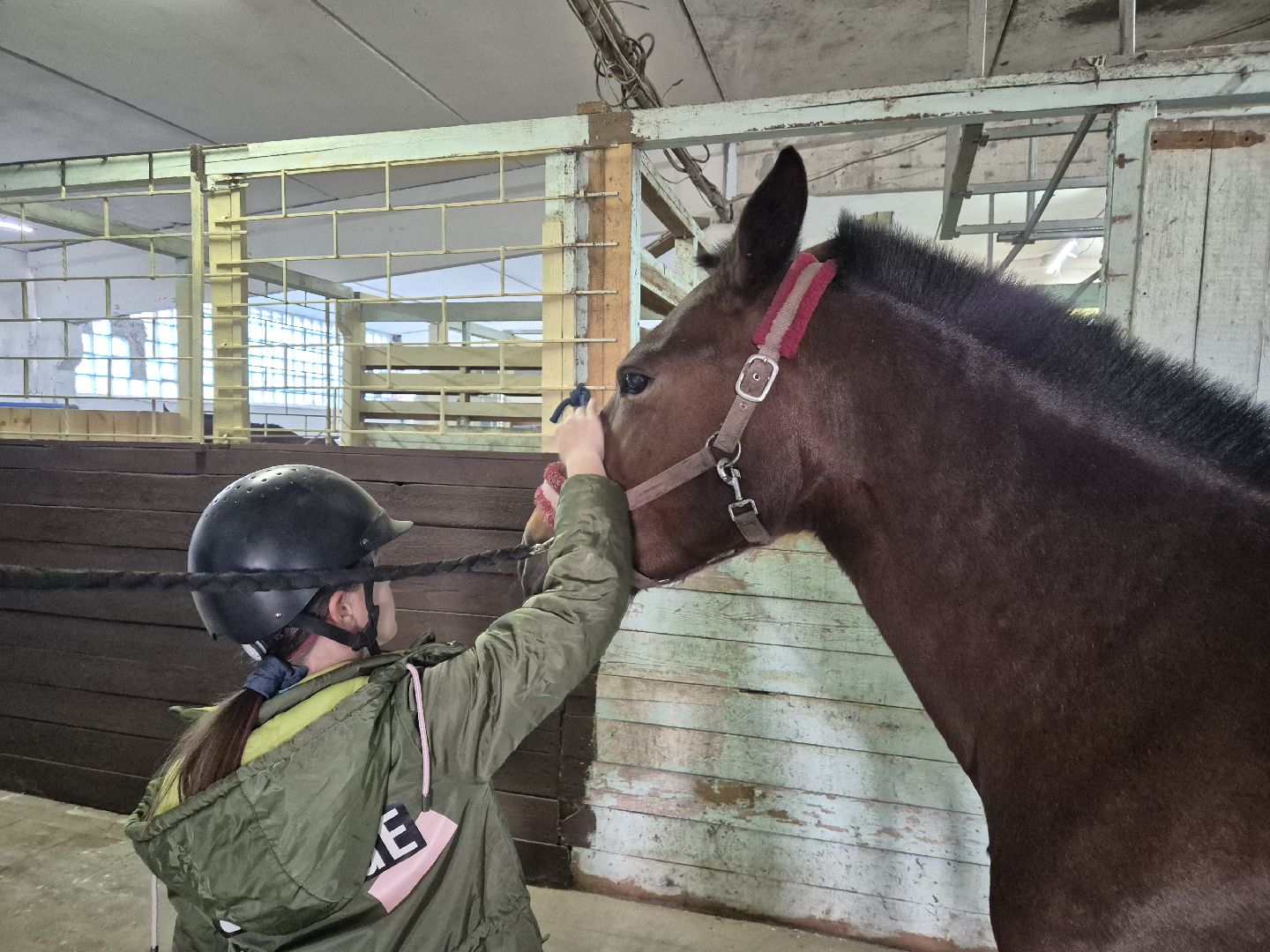 частная конюшня, конный спорт, благоустройство конюшни,