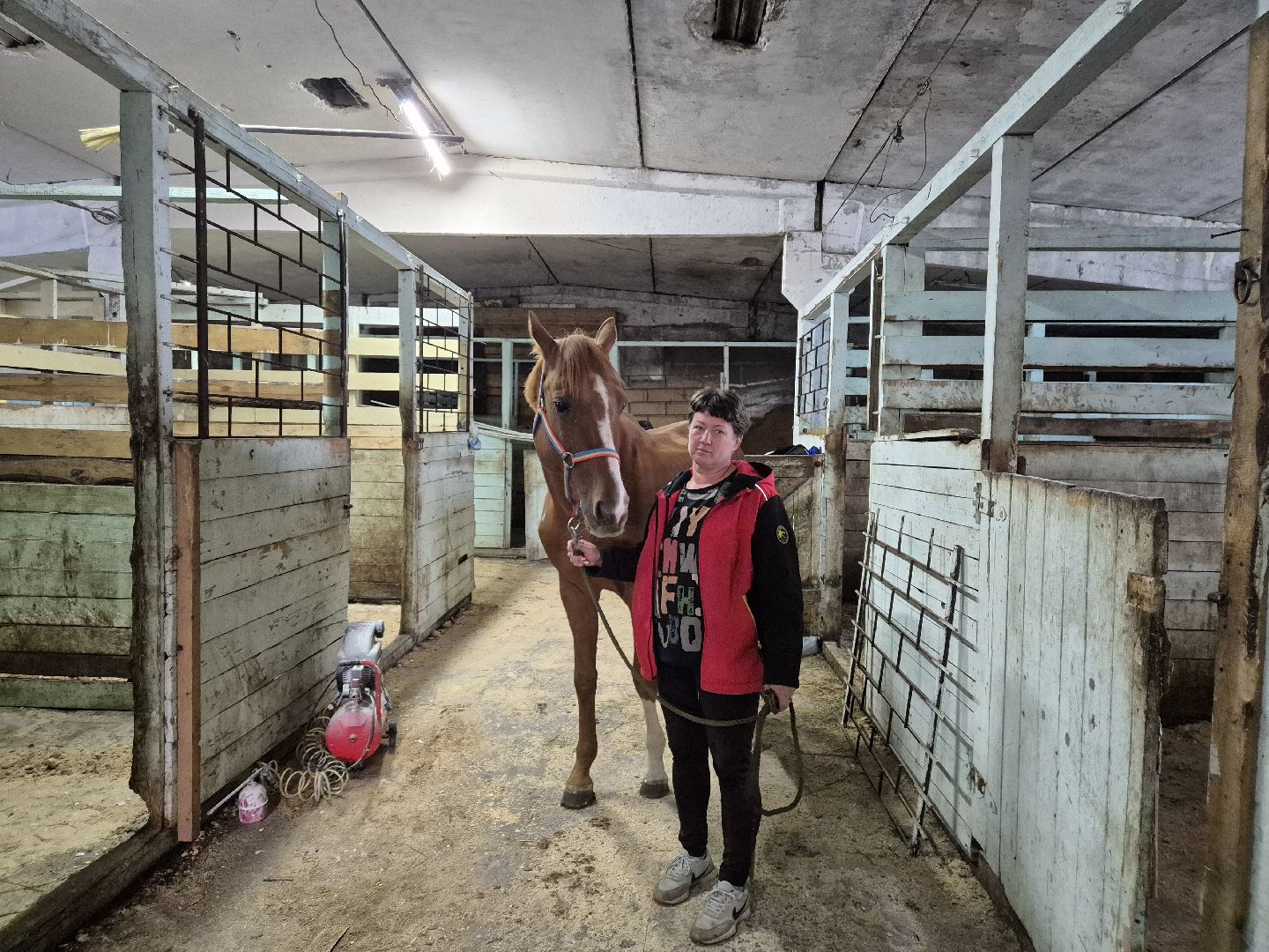 частная конюшня, конный спорт, благоустройство конюшни,