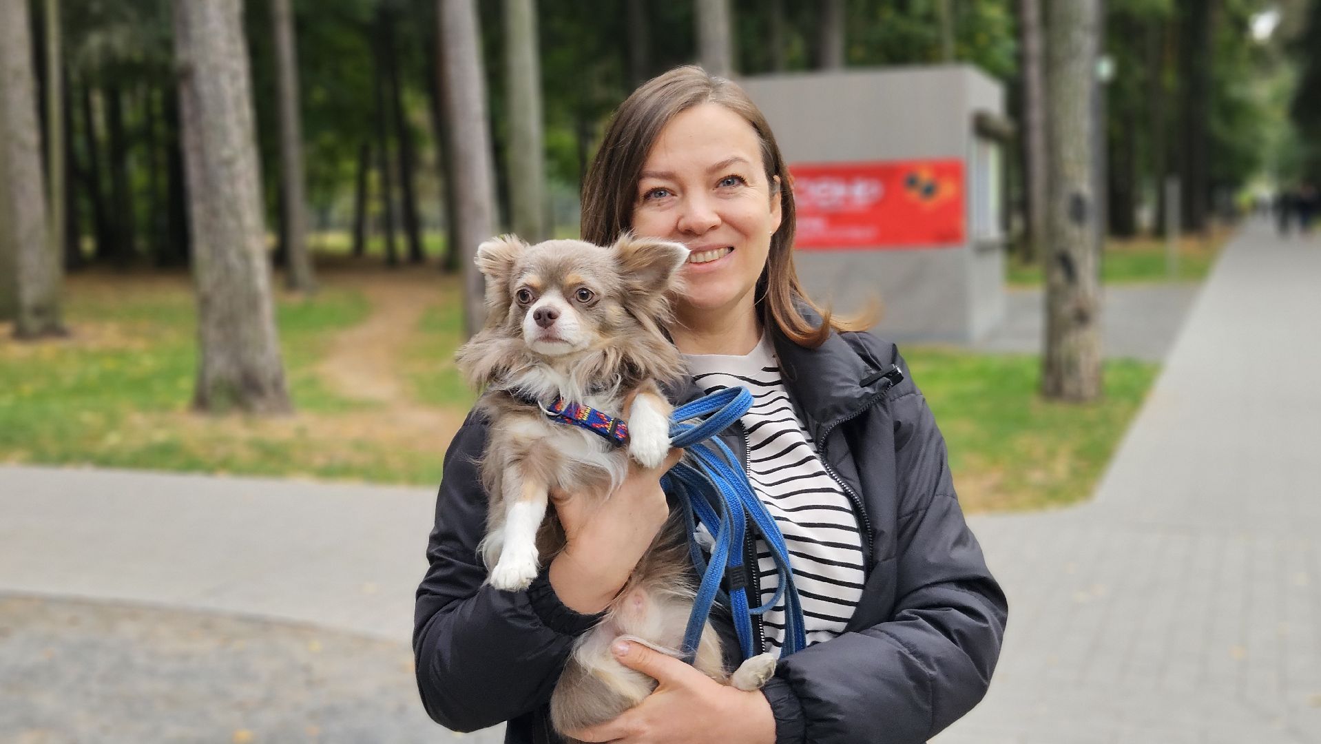 чипирование, ветеринар, животные, жуковский,