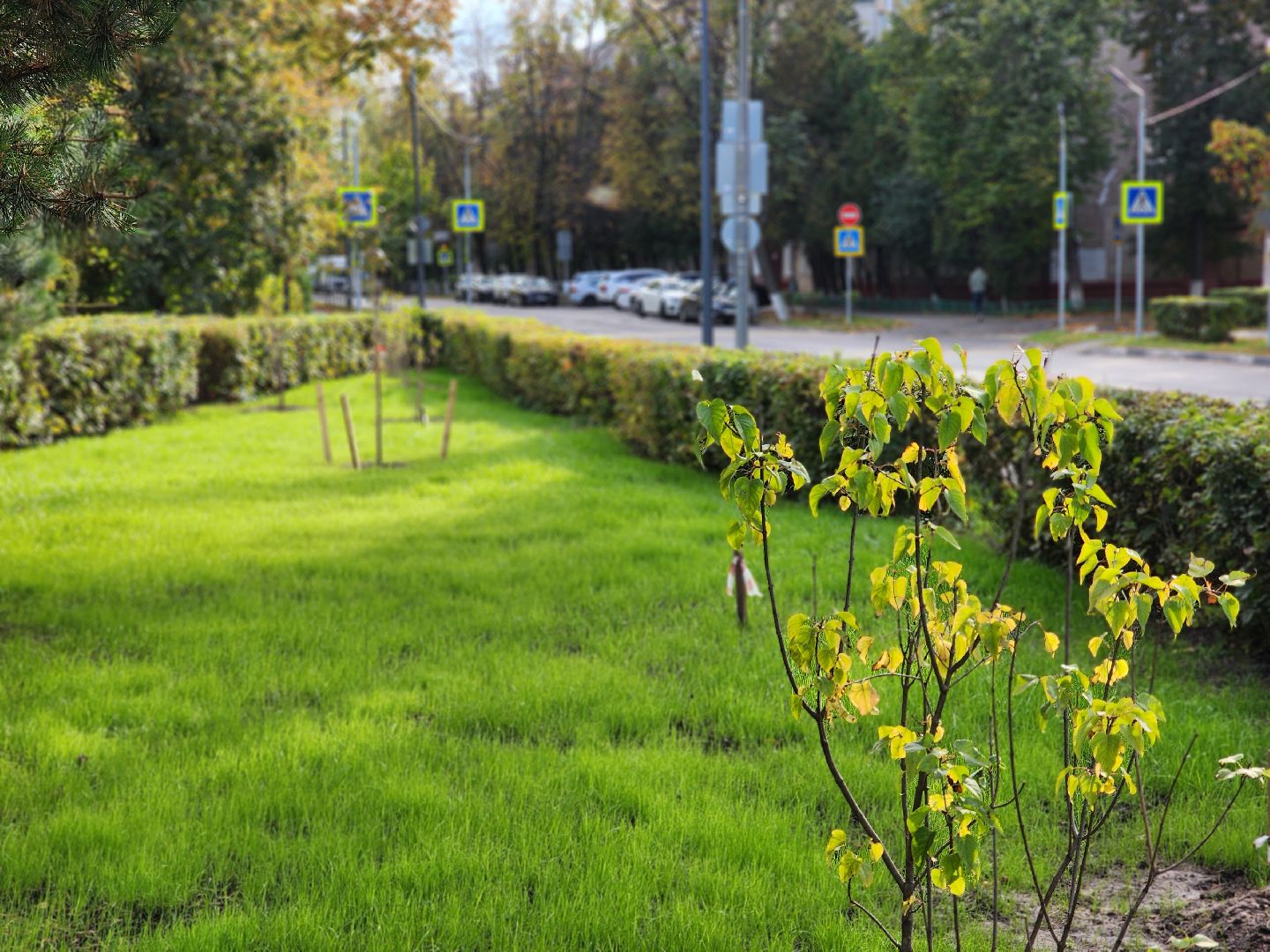 королёв, благоустройство , сквер имени чмырева открыт, администрация городского округа королев ,