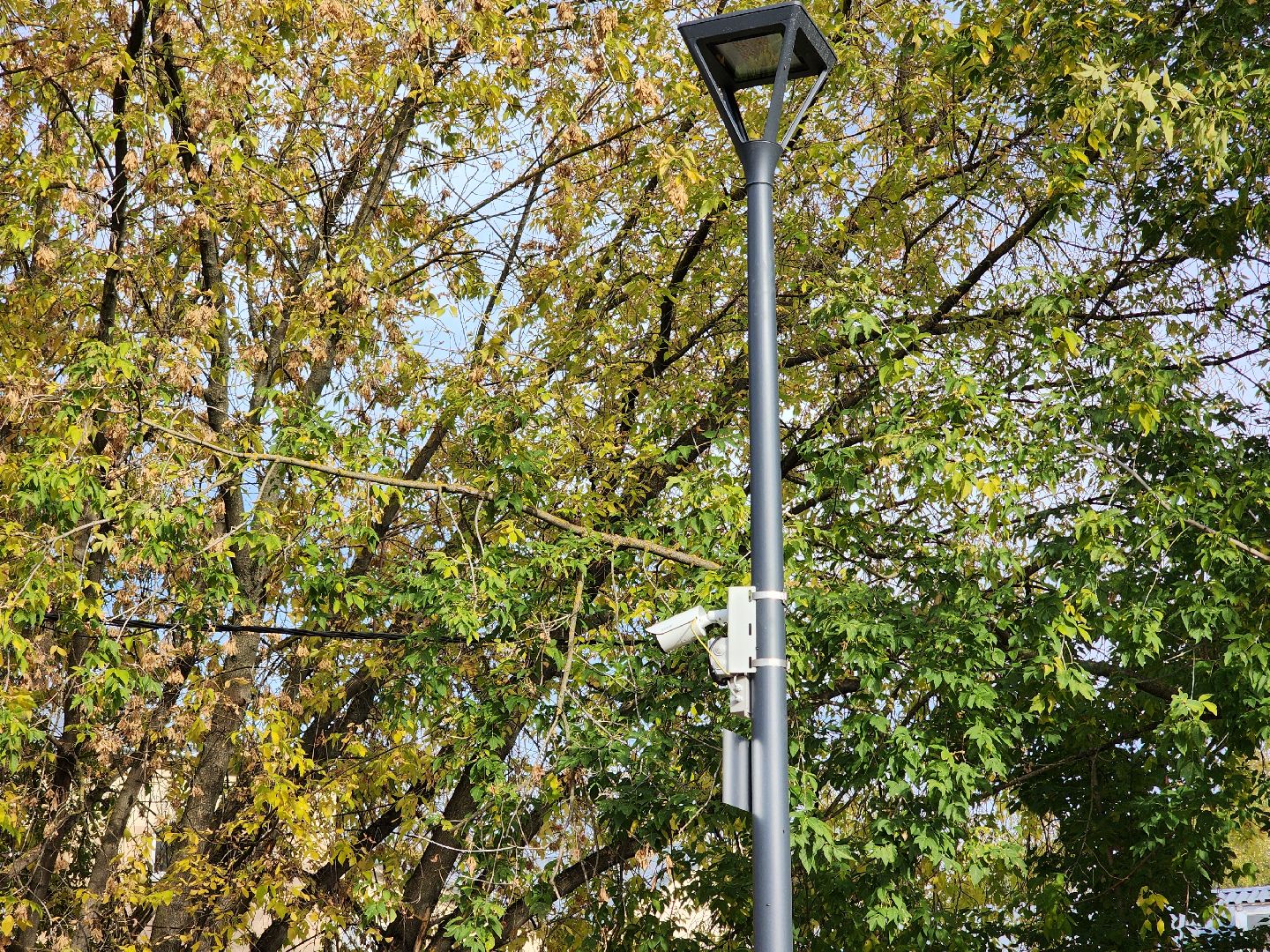 королёв, благоустройство , сквер имени чмырева открыт, администрация городского округа королев ,