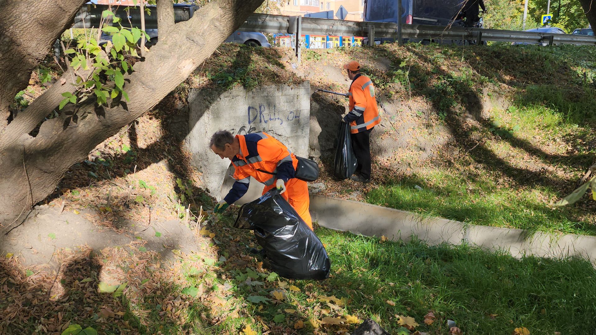 щёлково, уборка територии, обрезка веток,