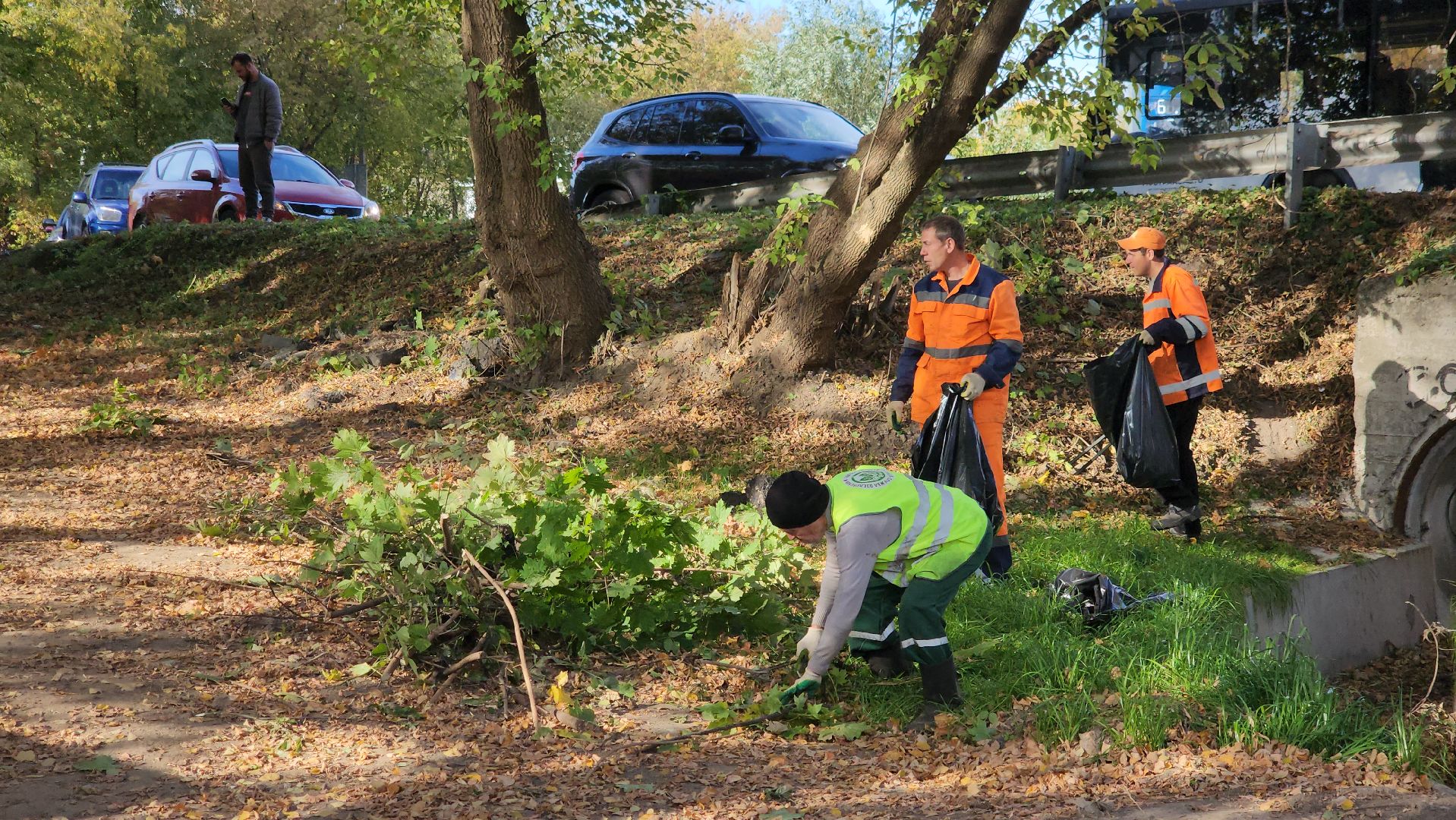 щёлково, уборка територии, обрезка веток,