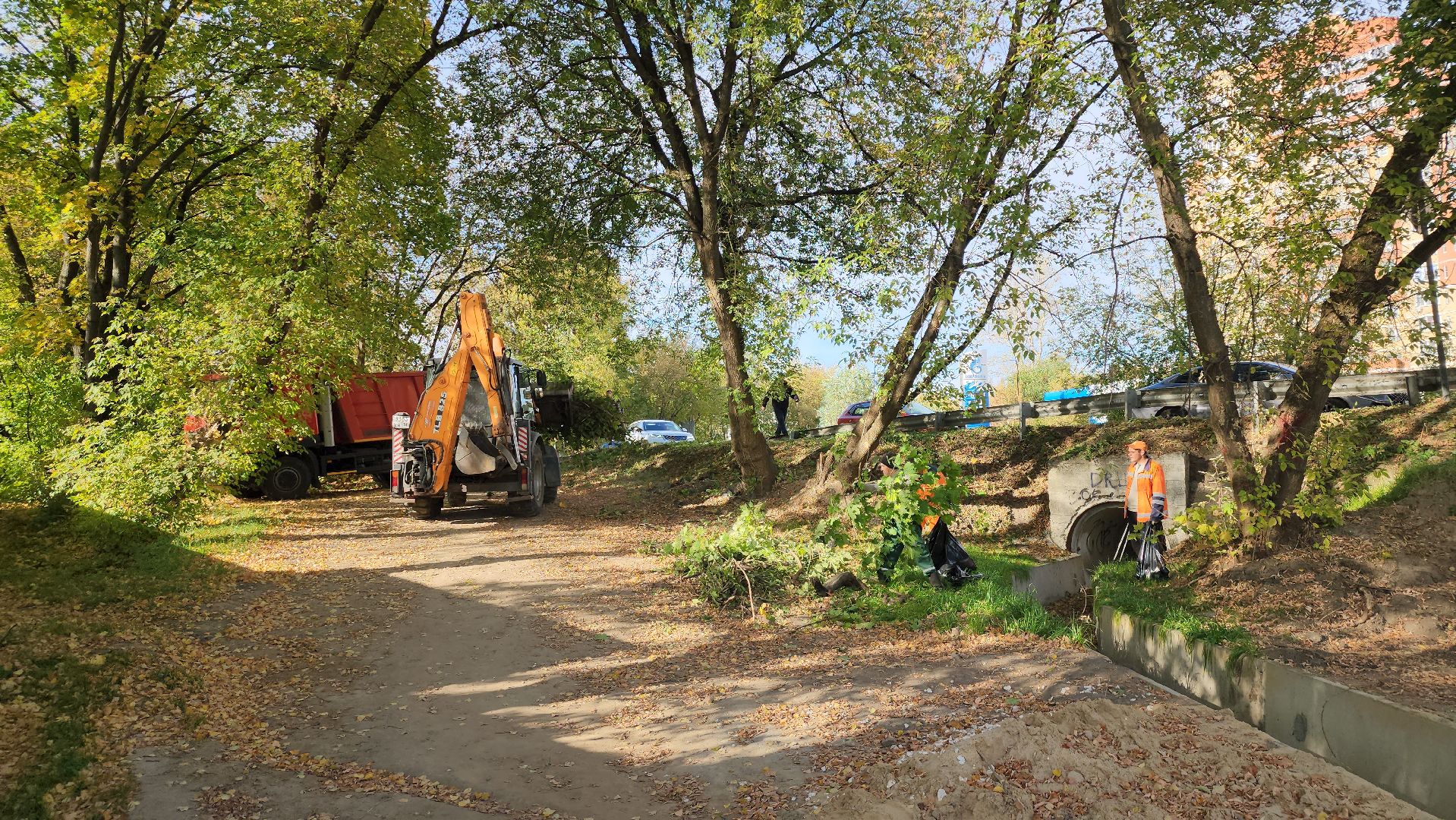 щёлково, уборка територии, обрезка веток,