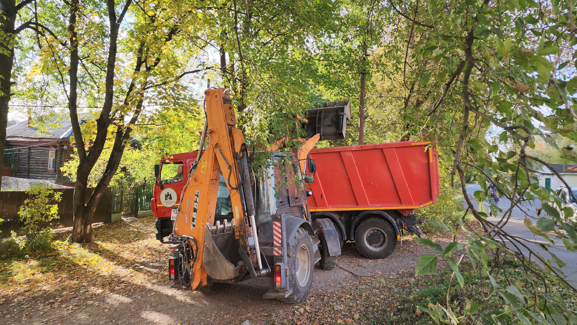 щёлково, уборка територии, обрезка веток,