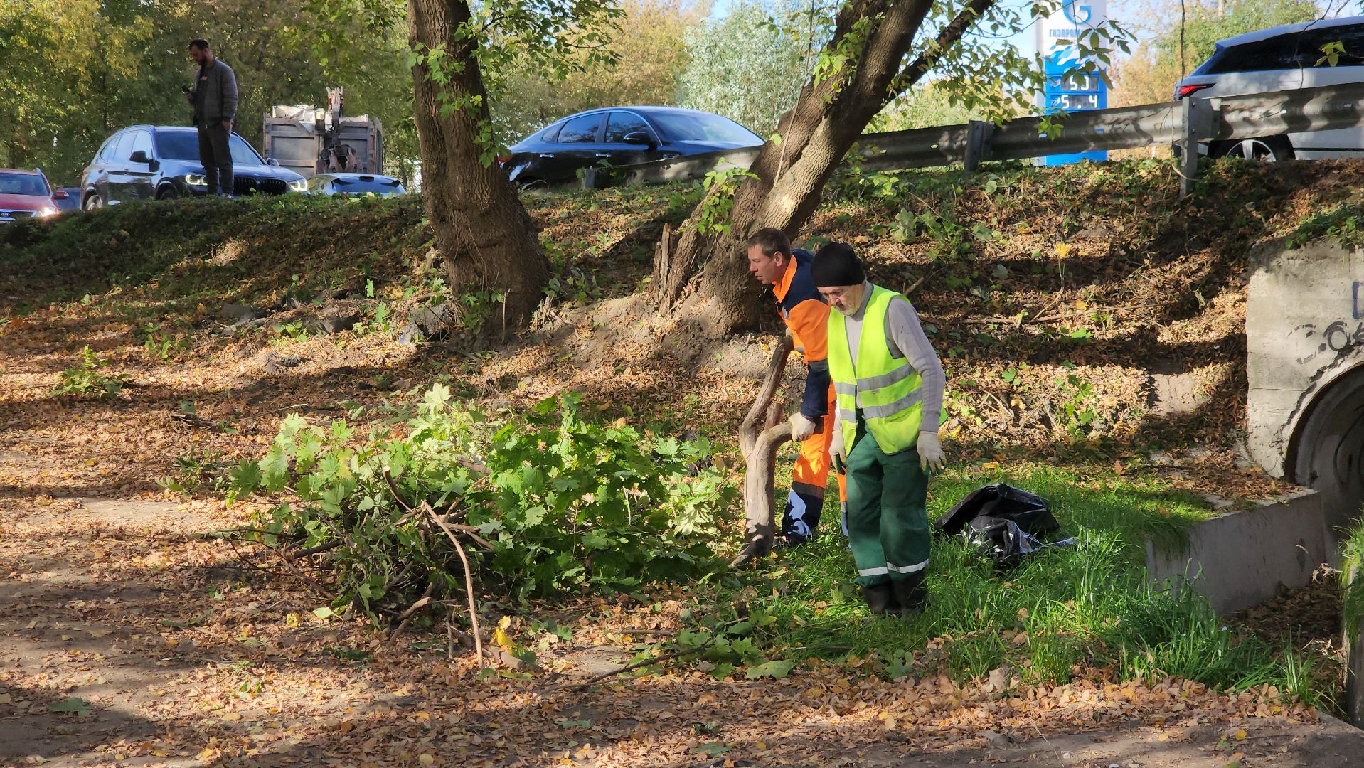 щёлково, уборка територии, обрезка веток,