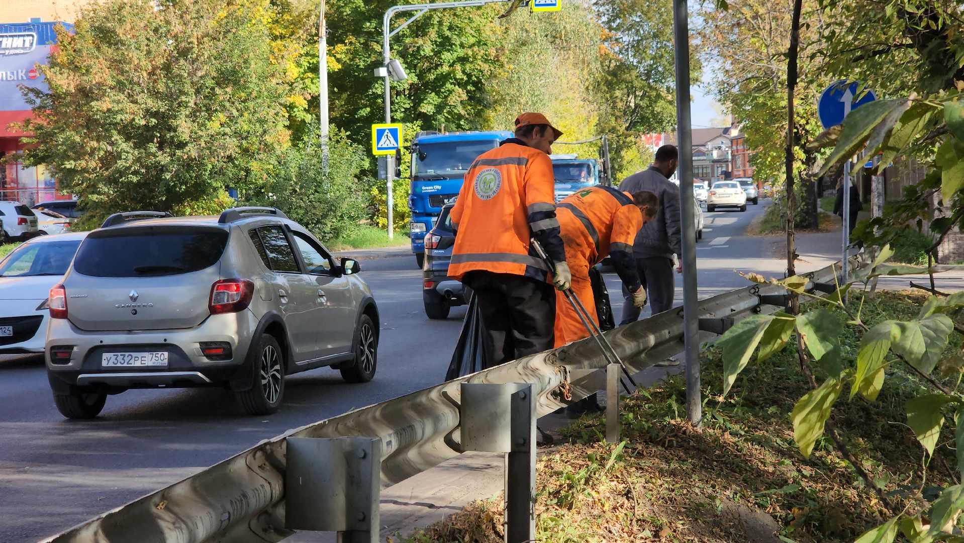 щёлково, уборка територии, обрезка веток,