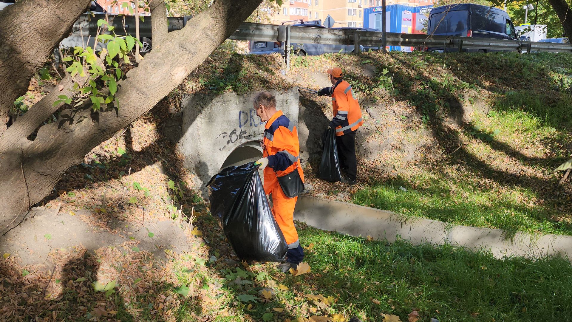 щёлково, уборка територии, обрезка веток,