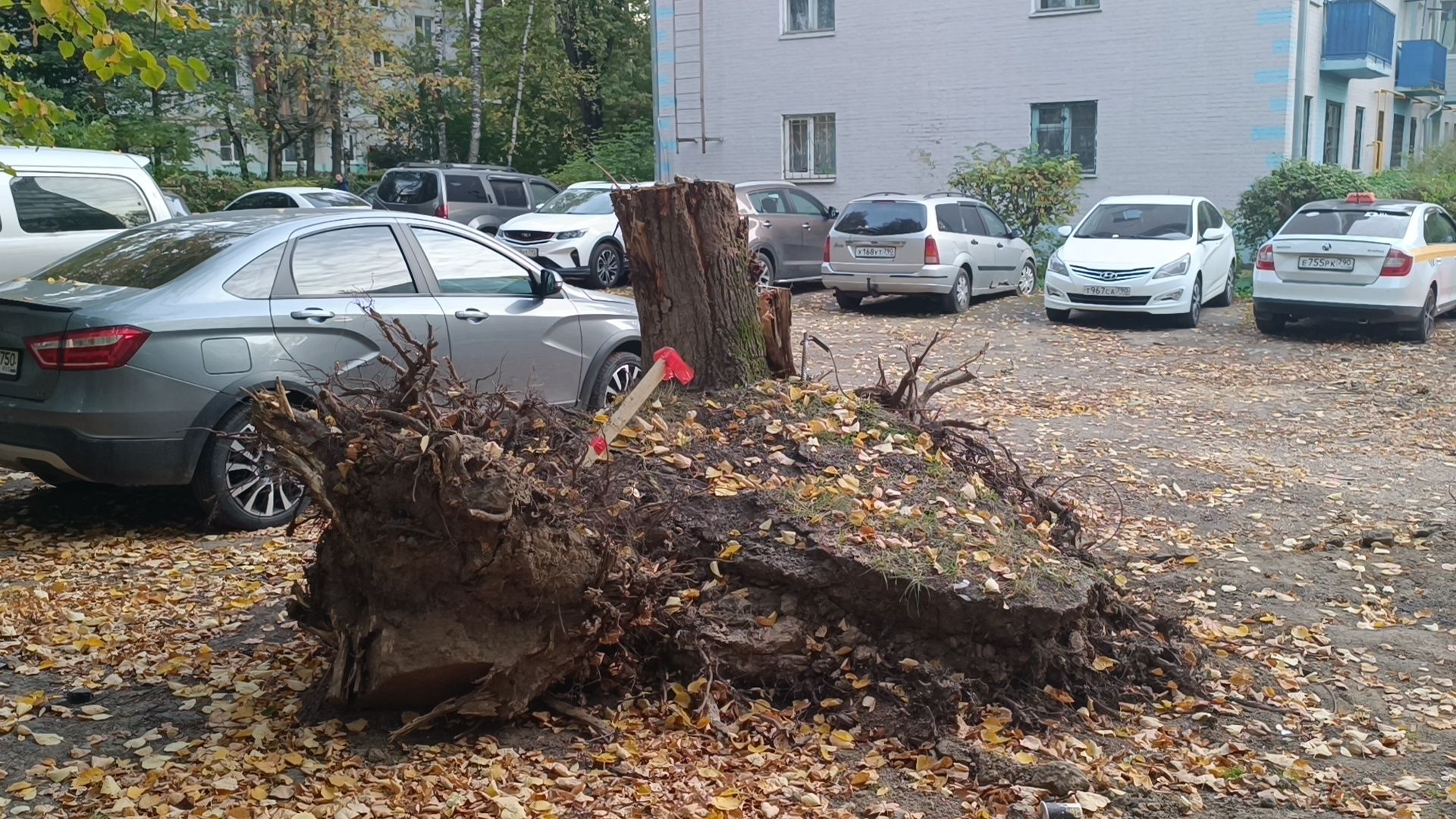 ремонт дорог, лобня, транспорт ,