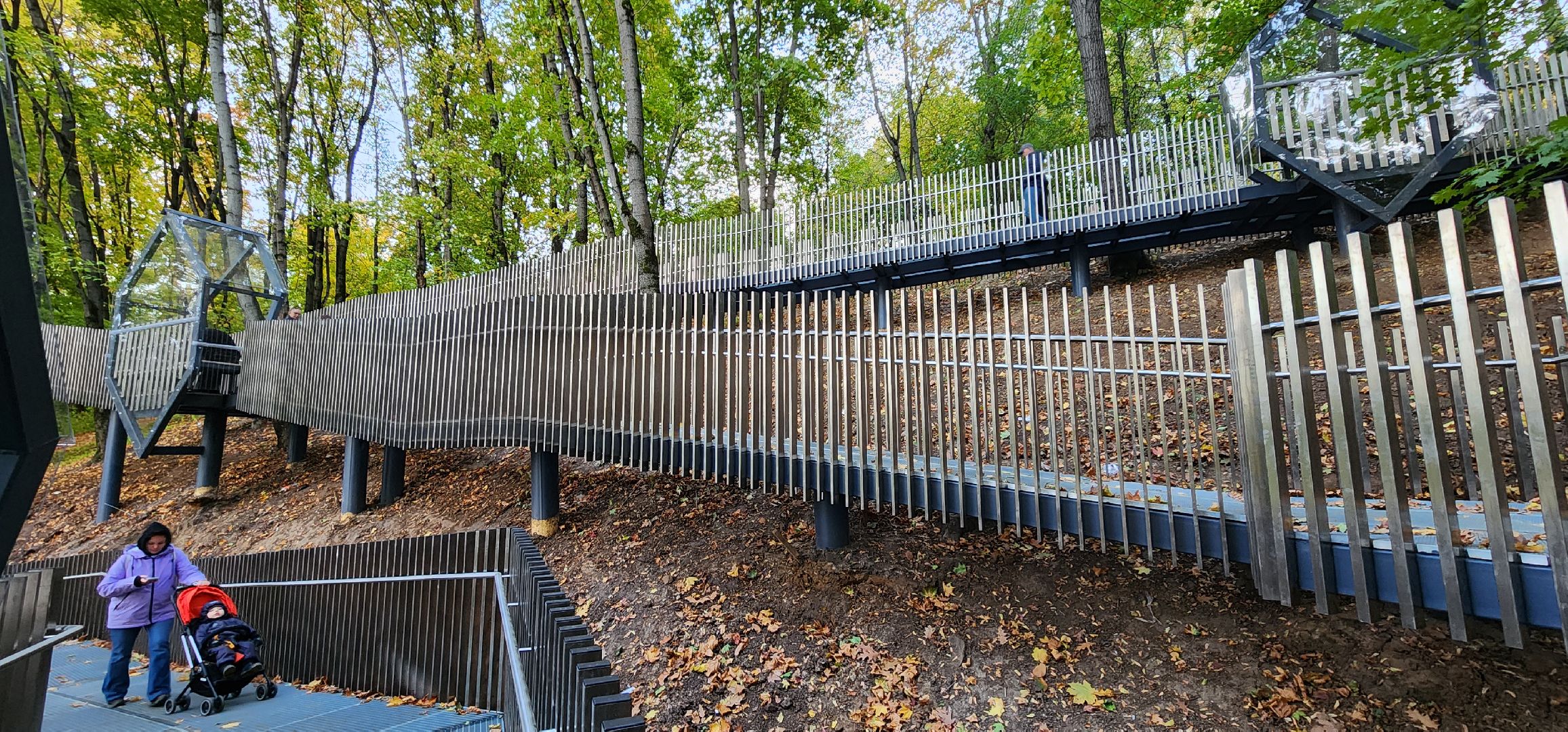 Химки, Благоустройство, парки, экотропа,